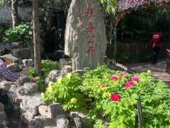 -太阳宫公园