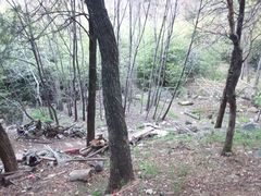 -泰山风景名胜区