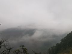 -刘二妈米皮(步行街店)