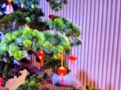 -尚荟汤泉生活馆