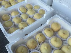 -南京众彩农副产品配送有限公司