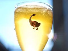 -Goose Island Brewhouse鹅岛精酿啤酒酿造工坊餐厅