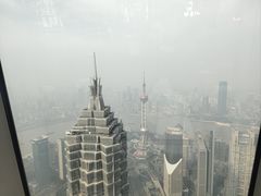 -上海柏悦酒店·世纪100牛排馆