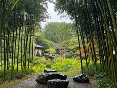 -龙井草堂