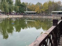-尚庄度假村·庭台树下·户外烧烤·团建CS·轰趴营地(上庄水库店)