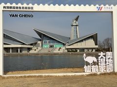 -盐城丹顶鹤湿地生态旅游区