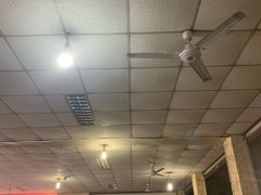-明升萝卜汤