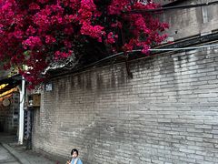 -七姐面馆