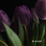 今日份花事 · 关于花的原图