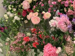 -Flannel Flowers(IFC)