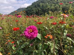 -贵阳市花溪国家城市湿地公园