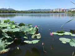 -永定河休闲森林公园