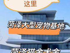 -曹州牡丹园
