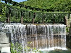 -郧西五龙河风景区