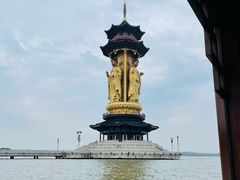 -溱湖国家湿地公园