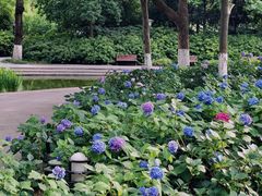 -常州古运河南大街文化旅游区-人民公园