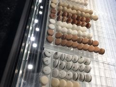 -BLACKSWAN黑天鹅(环球店)