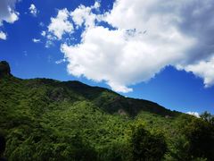 -云岫谷游猎自然风景区