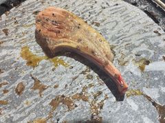 -燚青春东北泥炉烤肉(百合店)