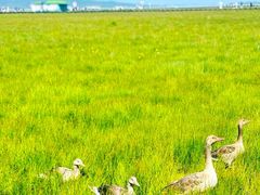 -花湖生态旅游区