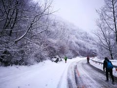 -终南山国家森林公园