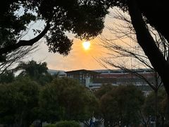 -白鹭洲公园