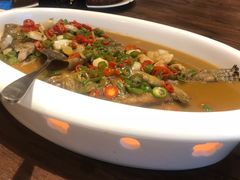 野生臭桂鱼-丹江渔村(首都机场店)