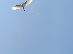 -杨柳河(地铁站)