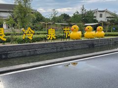 -苏州湾·王焰温泉