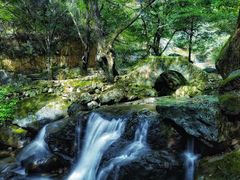 -白云源风景区