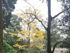 -金堂县云顶石城风景区