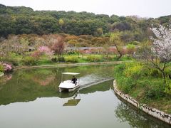 -苏州上方山国家森林公园