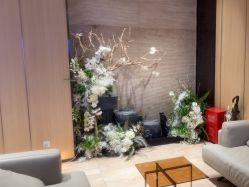 -恒美雅轩·品牌直营连锁