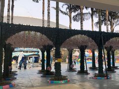 -海合安成都极地海洋公园