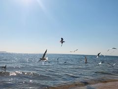 -北戴河碧螺塔海上酒吧公园