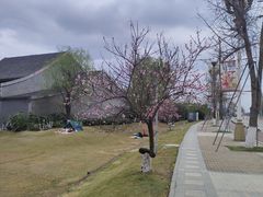 -国际非物质文化遗产博览园