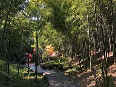 -天目湖山水园