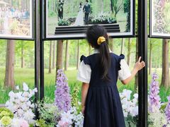 -黄海国家森林公园