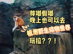 -杭州野生动物世界
