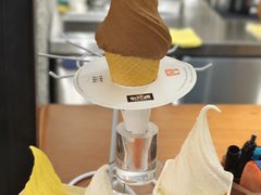 -野人先生Gelato(上海长宁龙之梦店)