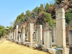 -徐州龟山景区