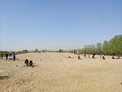 -东郊湿地公园