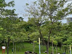 -白石龙音乐公园