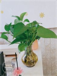 点击看大图 -尚艺造型.剪烫染.接发