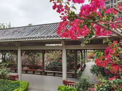 -小南山公园