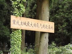 -武陵山森林公园
