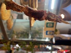 -新疆伊宁远征餐厅