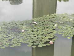 -大望京公园