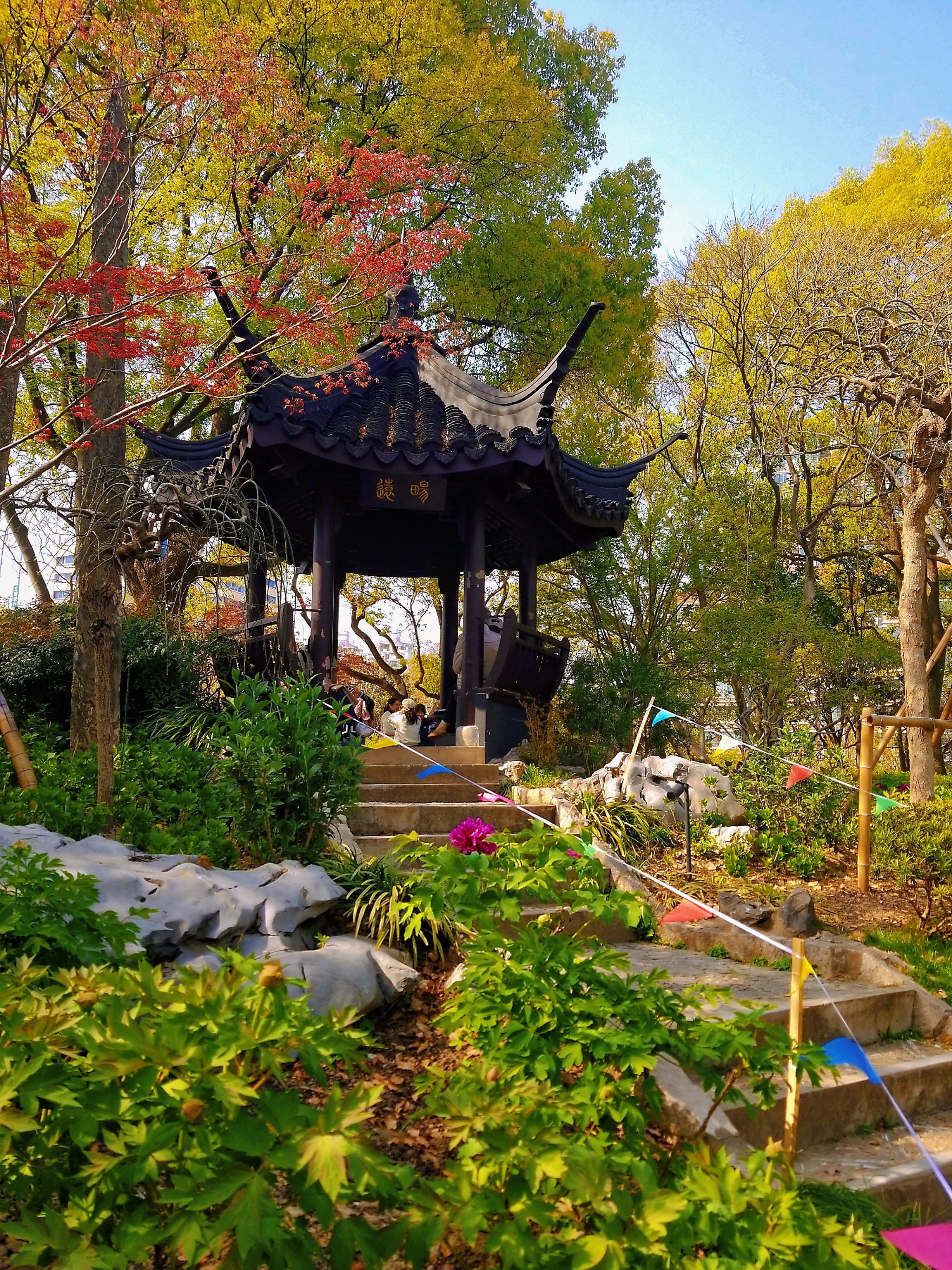 都市园林漕溪公园,在百年牡丹前品读时光的浪漫