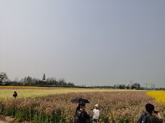 -中国天府农业博览园